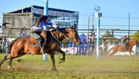 fiesta del puestero junin