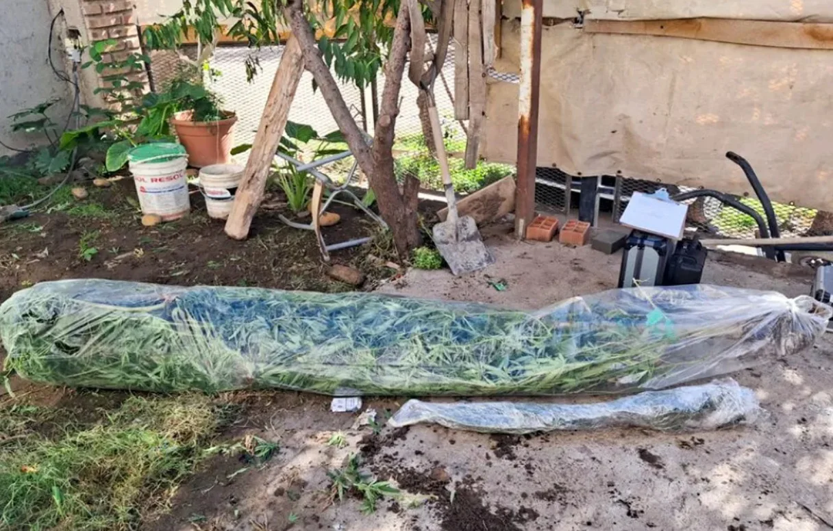 multimedia.normal.b4cdcd8e61fe5aa4.bm9ybWFsLndlYnA=