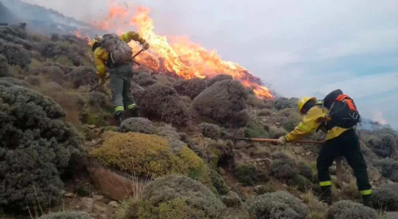 multimedia.normal.b5ba0ec13bf381fe.bm9ybWFsLndlYnA=