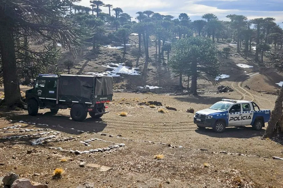 md - 2025-06-04T162213.234