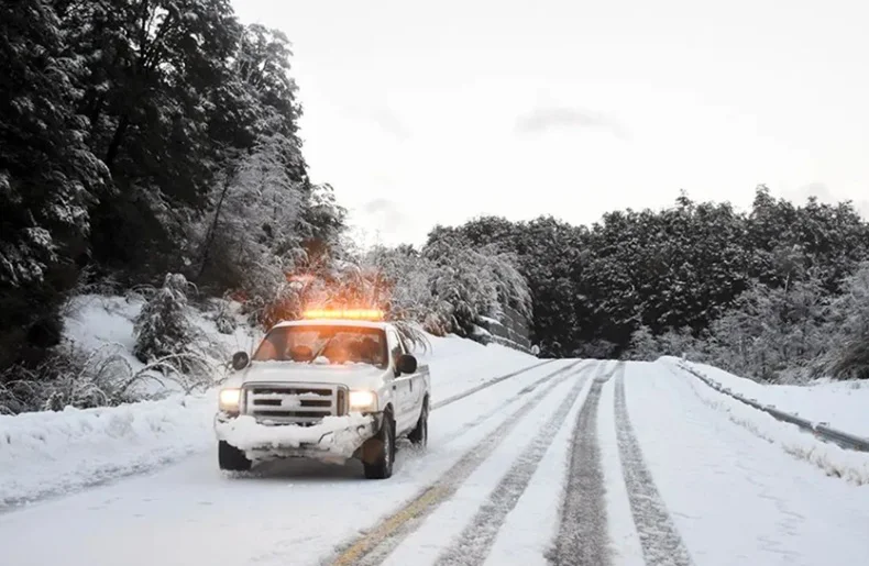 nevadas