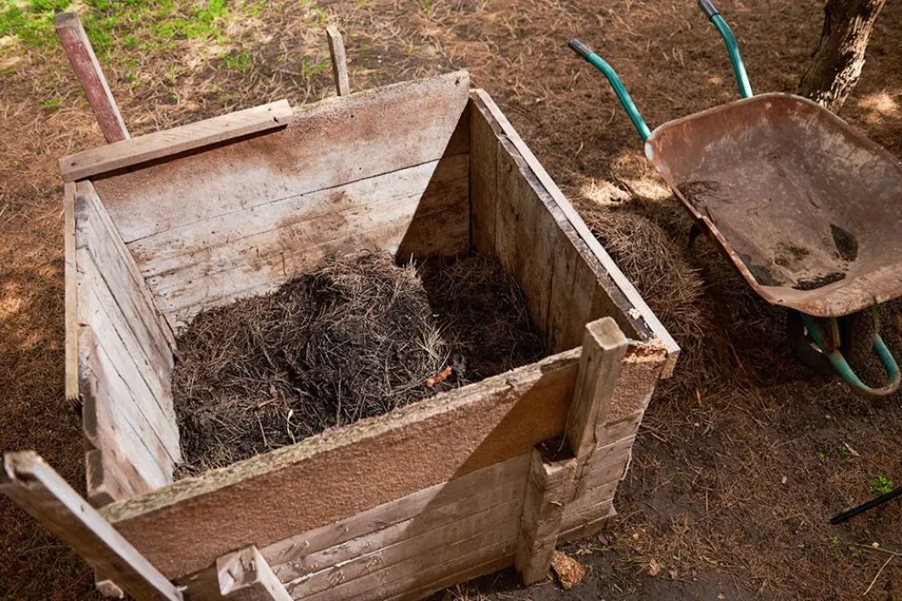 md - 2025-07-15T182214.897