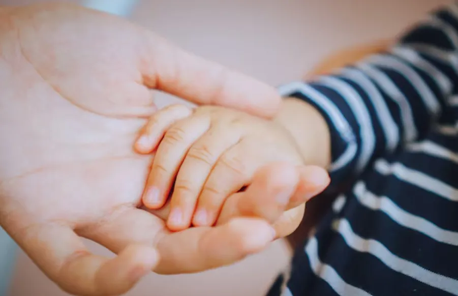 multimedia.normal.b6c1190af1a2aa89.bm9ybWFsLndlYnA=