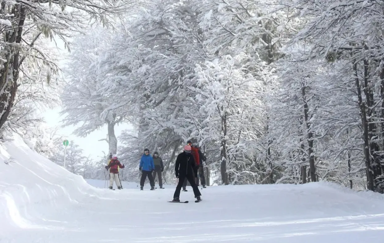 multimedia.normal.8ee3c2e1cf21400c.bm9ybWFsLndlYnA=