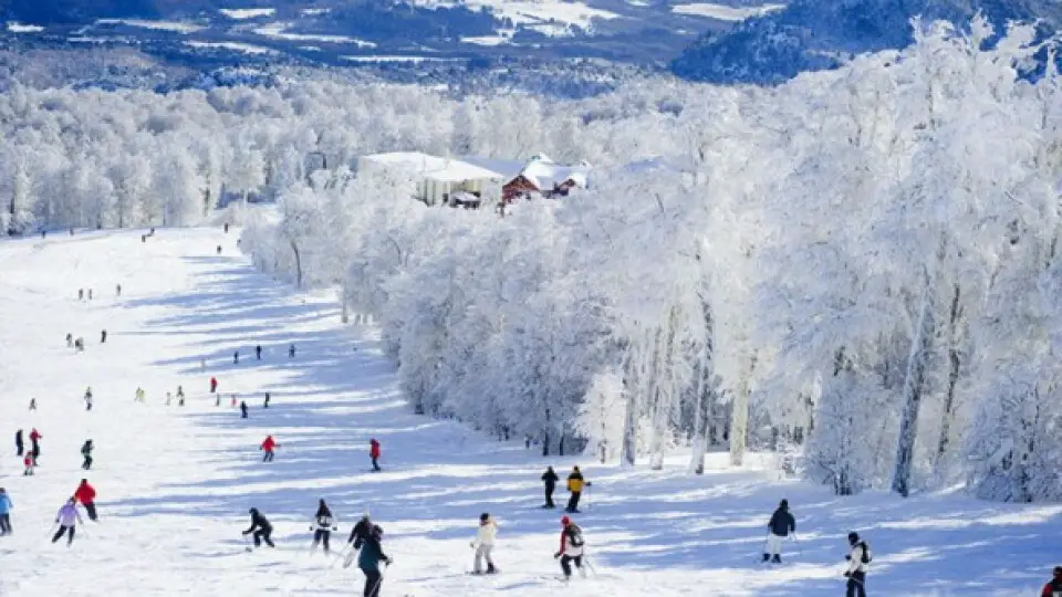 neuquenturismoINT-medium-size