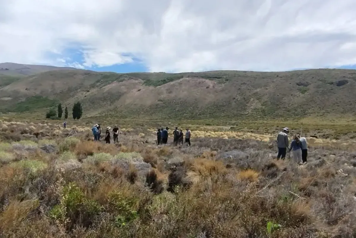 multimedia.normal.a73198a5f3157315.bm9ybWFsLndlYnA=