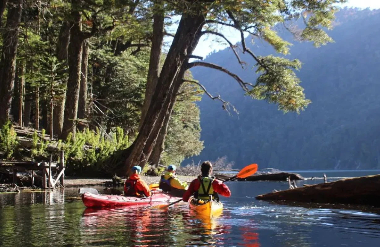 multimedia.normal.9fc148daa12296cb.bm9ybWFsLndlYnA=