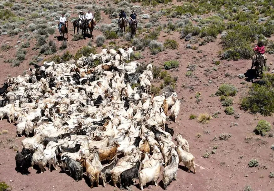 multimedia.normal.874e8ebd2a1b3f19.bm9ybWFsLndlYnA=