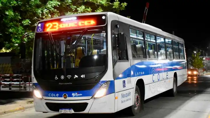 neuquen-nueva-linea-de-colectivos-foto-matias-subat-02.JPG