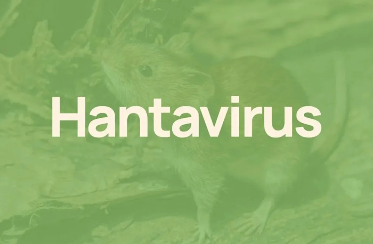 hantavirus 1