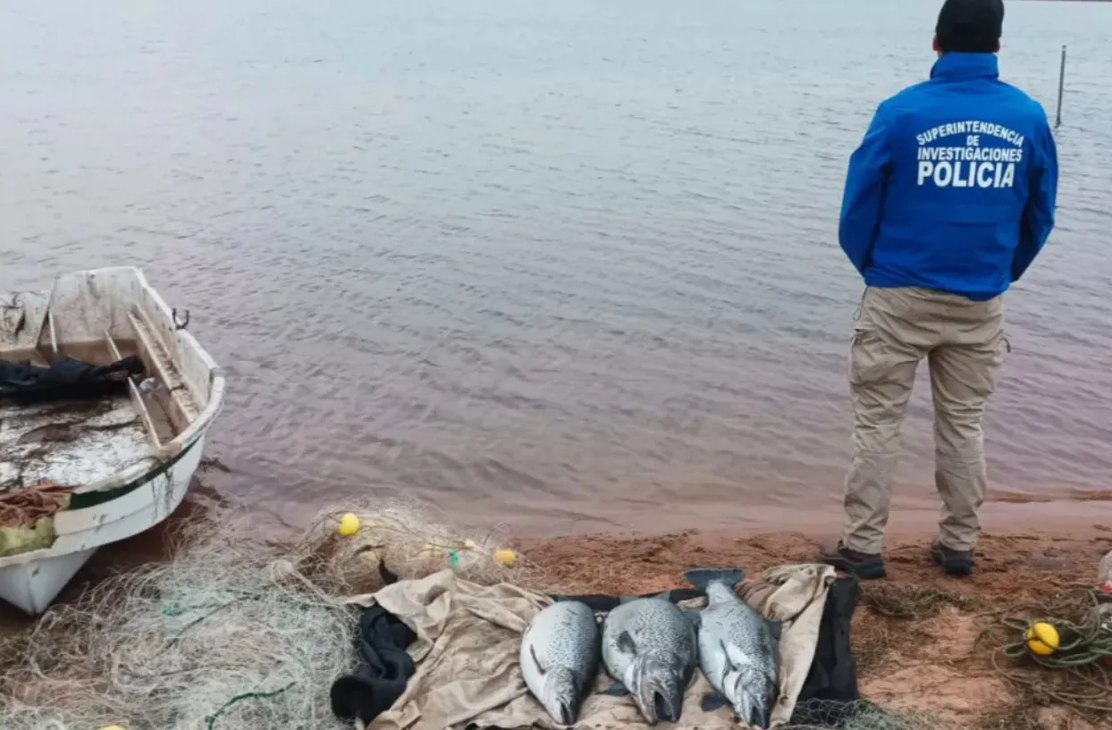 multimedia.normal.ae02999c3d9355d0.bm9ybWFsLndlYnA=