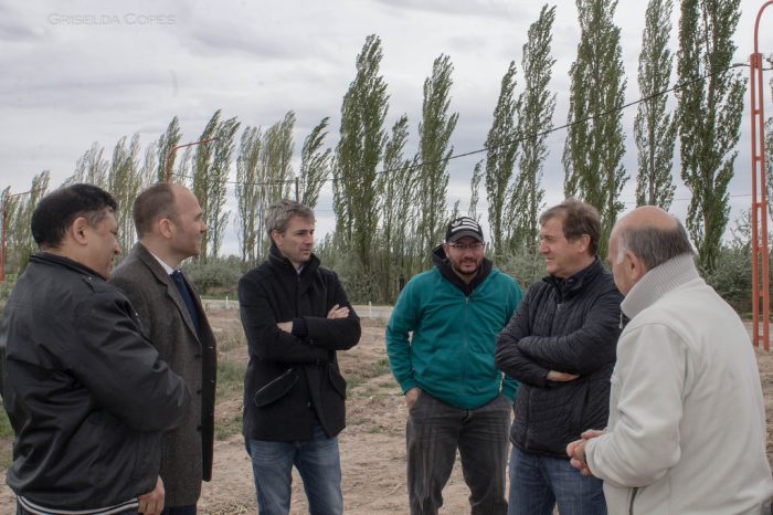 Camuzzi Gas del Sur se trasladará al parque industrial de Cipolletti