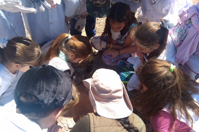 Niños de jardines maternales y de primaria plantaron 290 especies nativas en Parque Norte