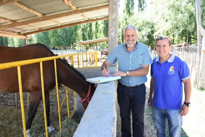 Plottier: Caballo secuestrado, fue donado al Centro de equinoterapia “Pillán”