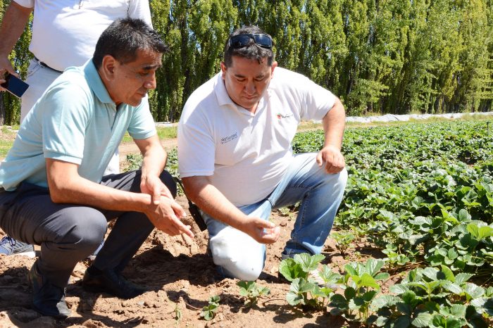 Rioseco: "Vamos a lograr la soberanía alimentaria"