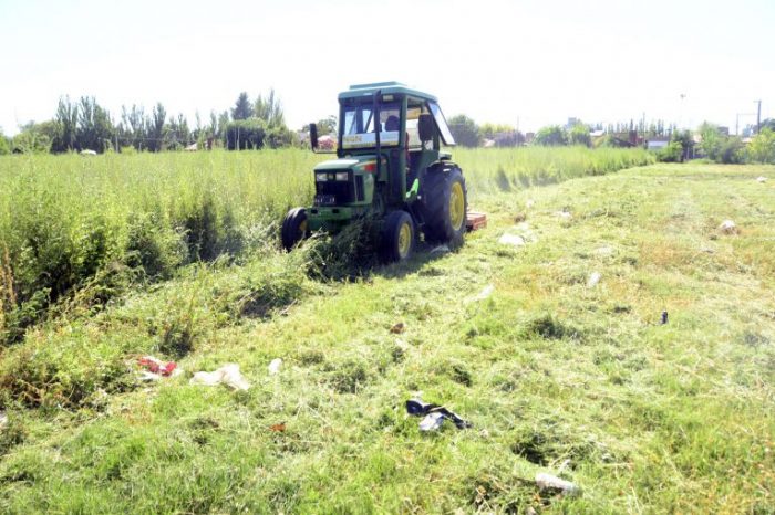 Por no limpiar su baldío, el propietario debe pagar $2.750.000 y la multa