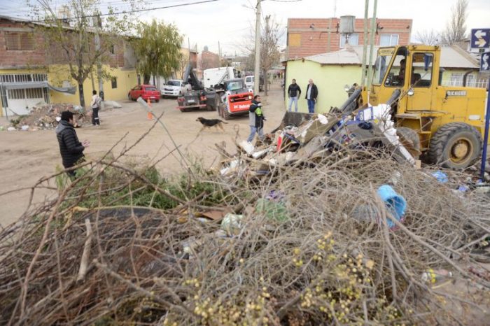 Operativo puerta a puerta: en la primera semana se levantaron 700 toneladas de voluminosos