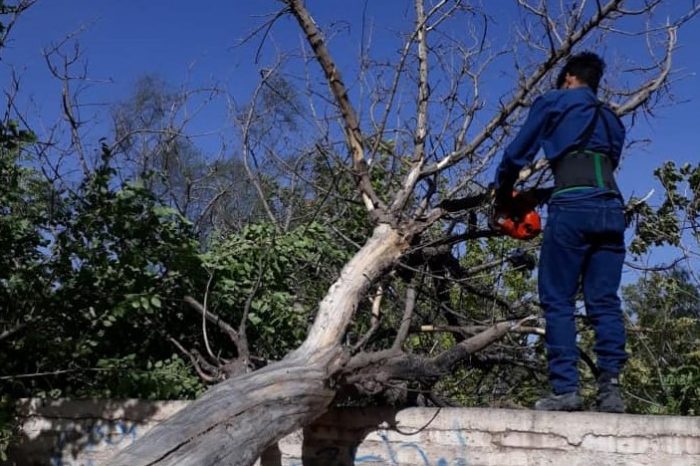 Temporal de viento: siete familias fueron asistidas y se recibieron 270 llamados