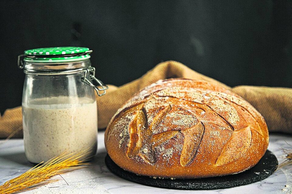 Cómo Hace Pan De Masa Madre Paso Por Paso Diario Neuquen Noticias De Neuquen