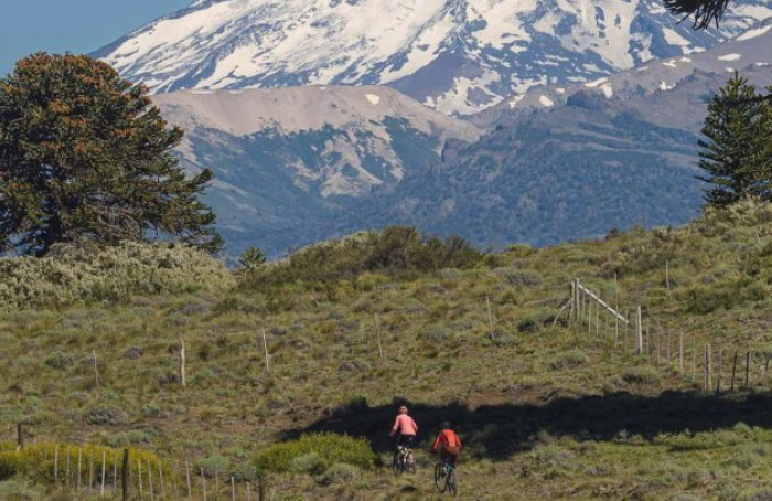 Absolvieron a cuatro guardaparques por la muerte de dos menores en el Parque Lanín