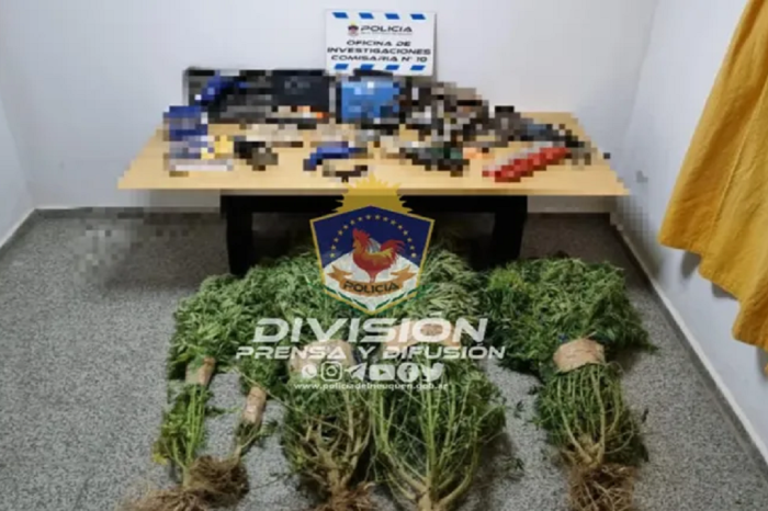 Operativo policial en Neuquén: allanamientos y secuestro de armas y drogas