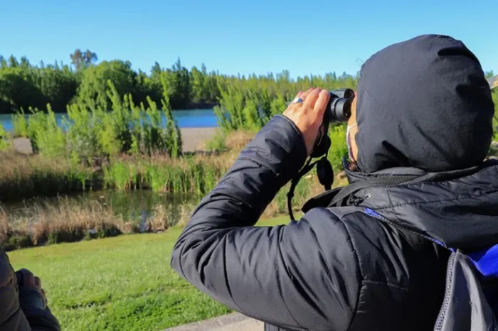 Neuquén se prepara para el evento mundial de observación de aves