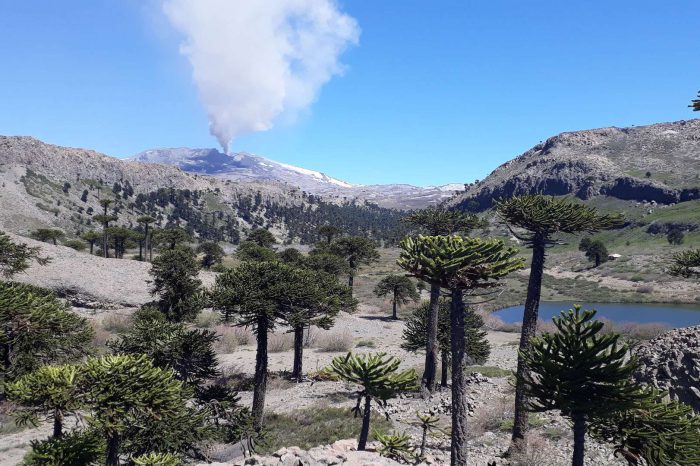 Caviahue-Copahue, Orgullo Patagónico: Reconocida como uno de los Mejores Pueblos Turísticos del Mundo